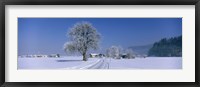 Framed Winter Scenic, Austria