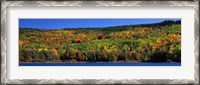 Framed Autumn Eagle Lake, Acadia National Park, Maine, USA