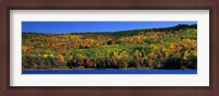 Framed Autumn Eagle Lake, Acadia National Park, Maine, USA
