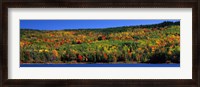 Framed Autumn Eagle Lake, Acadia National Park, Maine, USA