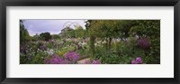 Framed Flowers In A Garden, Foundation Claude Monet, Giverny, France