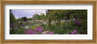 Framed Flowers In A Garden, Foundation Claude Monet, Giverny, France