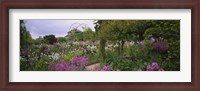 Framed Flowers In A Garden, Foundation Claude Monet, Giverny, France