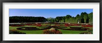 Framed Schonbrun Gardens Vienna Austria