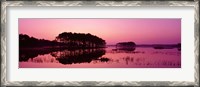 Framed Panoramic View Of The National Forest During Sunset, Chincoteague National Wildlife Refuge, Virginia, USA