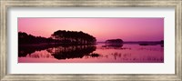 Framed Panoramic View Of The National Forest During Sunset, Chincoteague National Wildlife Refuge, Virginia, USA