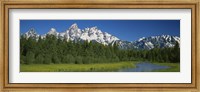 Framed Trees along a river, Near Schwabachers Landing, Grand Teton National Park, Wyoming