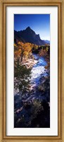 Framed High angle view of a river flowing through a forest, Virgin River, Zion National Park, Utah, USA
