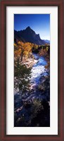 Framed High angle view of a river flowing through a forest, Virgin River, Zion National Park, Utah, USA