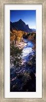 Framed High angle view of a river flowing through a forest, Virgin River, Zion National Park, Utah, USA