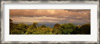 Framed Monteverde Puntarenas Province Costa Rica