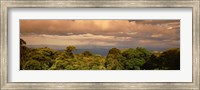 Framed Monteverde Puntarenas Province Costa Rica