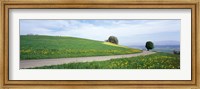 Framed Road Fields Aargau Switzerland