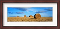 Framed Hay Bales, Scotland, United Kingdom