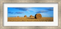 Framed Hay Bales, Scotland, United Kingdom