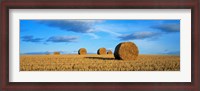 Framed Hay Bales, Scotland, United Kingdom