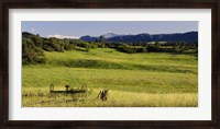 Framed Agricultural equipment in a field, Pikes Peak, Larkspur, Colorado, USA