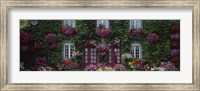 Framed Flowers Breton Home Brittany France