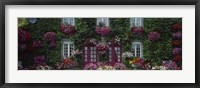 Framed Flowers Breton Home Brittany France