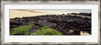 Framed Lava rocks at a coast, Floreana Island, Galapagos Islands, Ecuador