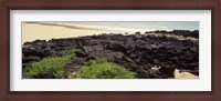 Framed Lava rocks at a coast, Floreana Island, Galapagos Islands, Ecuador