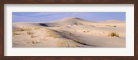 Framed Sand dunes on an arid landscape, Monahans Sandhills State Park, Texas, USA