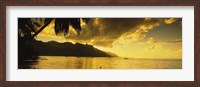 Framed Silhouette Of Palm Trees At Dusk, Cooks Bay, Moorea, French Polynesia