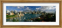 Framed Harbor And City And Bridge, Sydney, Australia