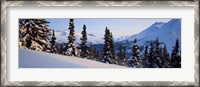 Framed Winter Chugach Mountains AK