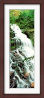 Framed Ganoga Falls Ricketts Glenn State Park PA
