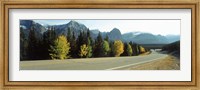 Framed Road Alberta Canada