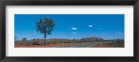 Framed Road Ayers Rock Uluru-Kata Tjuta National Park Australia