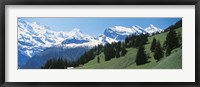 Framed Valley and snow covered peaks, Murren Switzerland