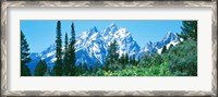 Framed Snow covered peaks, Grand Teton National Park WY