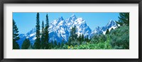 Framed Snow covered peaks, Grand Teton National Park WY