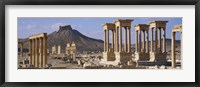 Framed Colonnades on an arid landscape, Palmyra, Syria