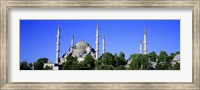 Framed Blue Mosque, Istanbul, Turkey