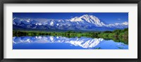 Framed Alaska Range, Denali National Park, Alaska, USA