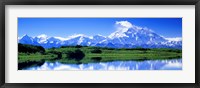 Framed Reflection Pond, Mount McKinley, Denali National Park, Alaska, USA