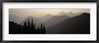 Framed Mount Rainier National Park WA USA
