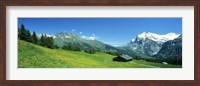 Framed Grindelwald Switzerland