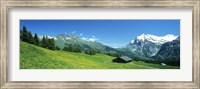 Framed Grindelwald Switzerland