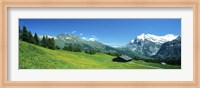 Framed Grindelwald Switzerland