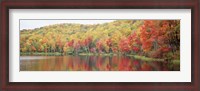 Framed Savoy Mountain State Forest, Massachusetts, USA