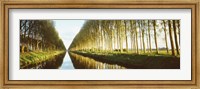 Framed Belgium, tree lined waterway through countryside