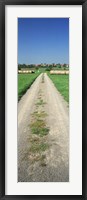 Framed Germany, Hay bales along a road