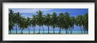 Framed Palms & lagoon Aitutaki Cook Islands