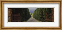 Framed Road, Tuscany, Italy,