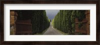 Framed Road, Tuscany, Italy,