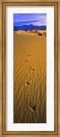 Framed Footprints, Death Valley National Park, California, USA